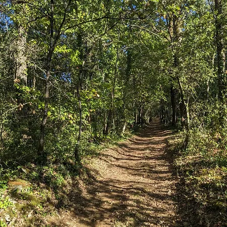 La Grange Symphorine, D'hôtes De Charme Située Entre La Vallée De La Dordogne Et La Vallée De La Vézère Couette-café Meyrals