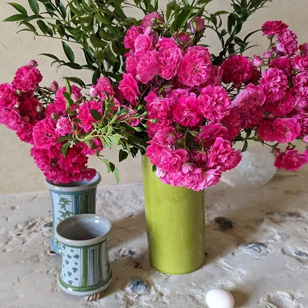 La Grange Symphorine, D'hôtes De Charme Située Entre La Vallée De La Dordogne Et La Vallée De La Vézère 3*