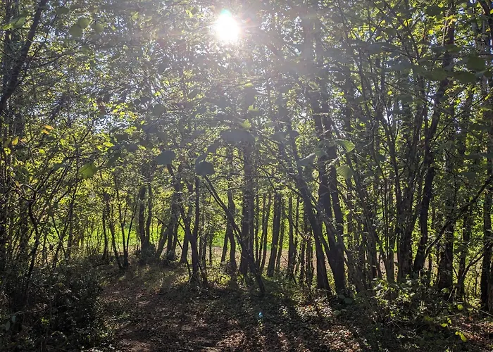 Bed & Breakfast La Grange Symphorine, D'hôtes De Charme Située Entre La Vallée De La Dordogne Et La Vallée De La Vézère Meyrals