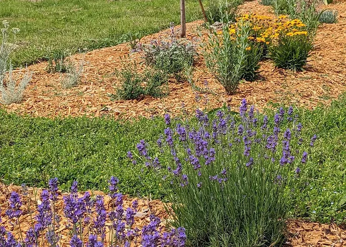 La Grange Symphorine, D'hôtes De Charme Située Entre La Vallée De La Dordogne Et La Vallée De La Vézère