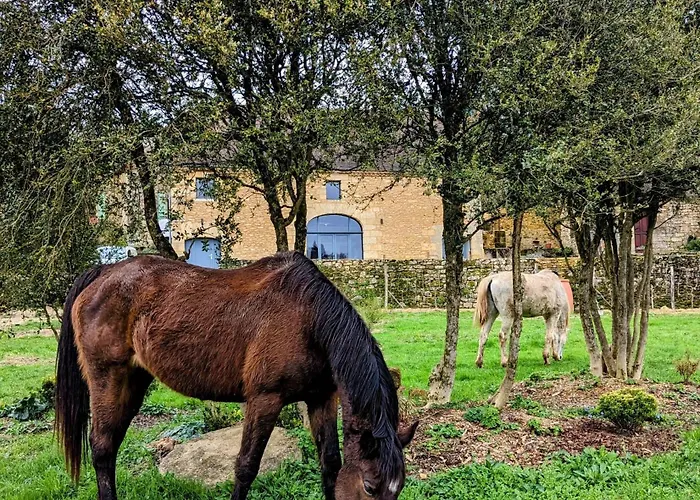 La Grange Symphorine, D'hôtes De Charme Située Entre La Vallée De La Dordogne Et La Vallée De La Vézère 3* Meyrals