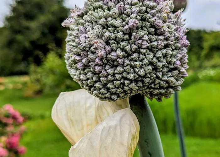 La Grange Symphorine, D'hôtes De Charme Située Entre La Vallée De La Dordogne Et La Vallée De La Vézère Bed & Breakfast