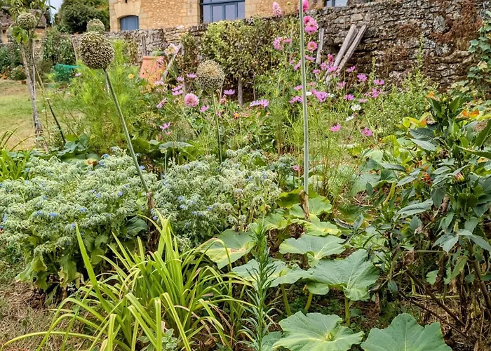 Bed & Breakfast La Grange Symphorine, D'hôtes De Charme Située Entre La Vallée De La Dordogne Et La Vallée De La Vézère Meyrals